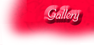摜gallery
